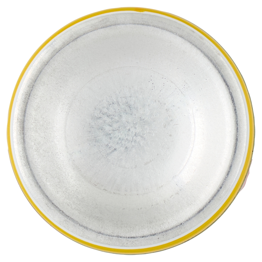 Autan Tropical Spray Insetto Repellente e Antizanzare Tigre, Comuni e Tropicali, 100ml